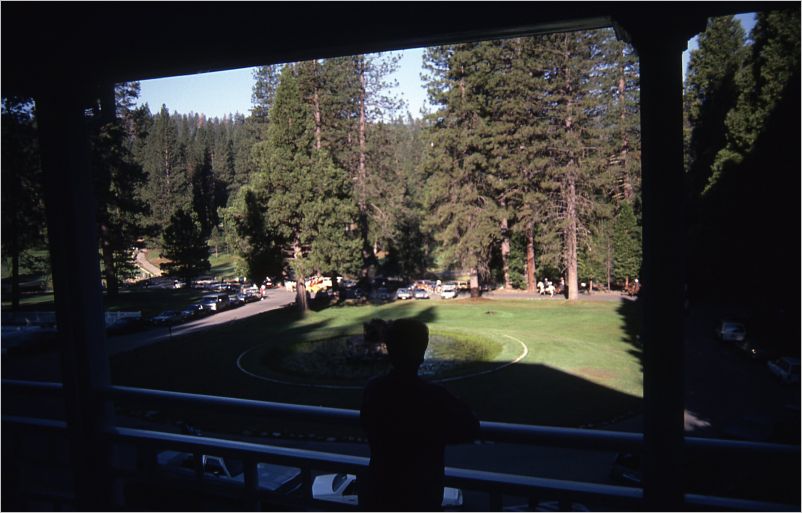 Watching the horsed go by